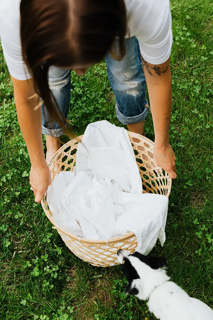 Fixing a Broken Dishwasher Detergent Latch A Guide to Identifying and